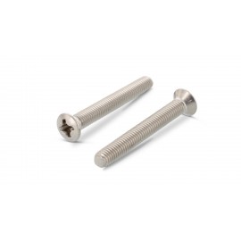 Гвинт DIN 966 M2x25 A2 PH1