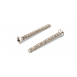 Гвинт ISO 14584 M2,5x10 A4 torx