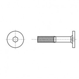 Гвинт меблевий ART 1317-A M6x100 4,8 цинк