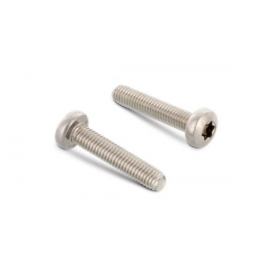 Гвинт DIN 7500 C M2,5x10 A2 torx