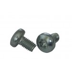 DIN 7500 C цинк Гвинт із напівкруглою головкою під torx