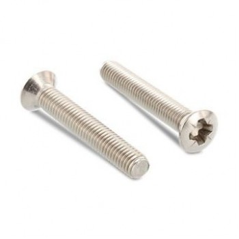 Гвинт DIN 966 M2,5x10 A4 PZ1