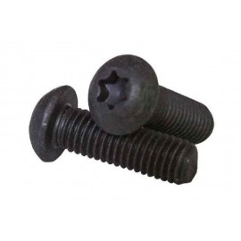 Болт ISO 7380-1 M10x20 10,9 torx цинк geomet чорний