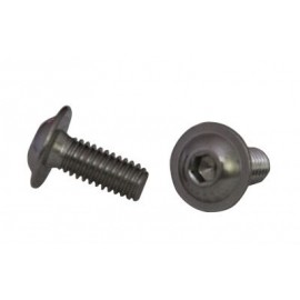 Болт ISO 7380-2 M10x100 A2