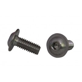 Болт ISO 7380-2 M10X100 A4